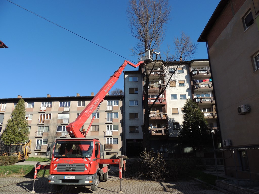 Posađena nova stabla